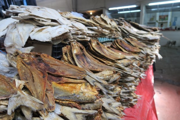 2016-05-01 Mexiko (260)