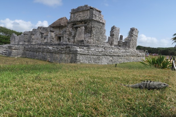 2016-05-01 Mexiko (37)