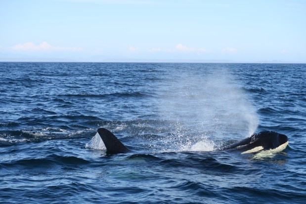 2016-07-01-kanada-127